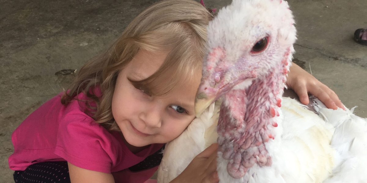Girl with a Turkey