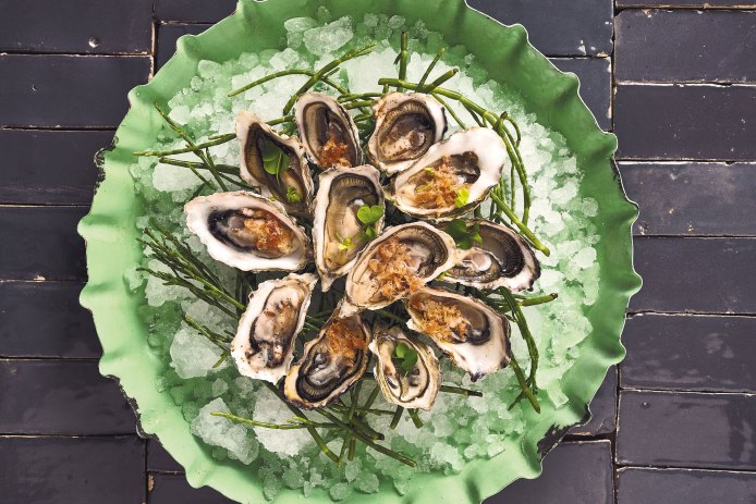 Turtle Island West-Coast Oysters