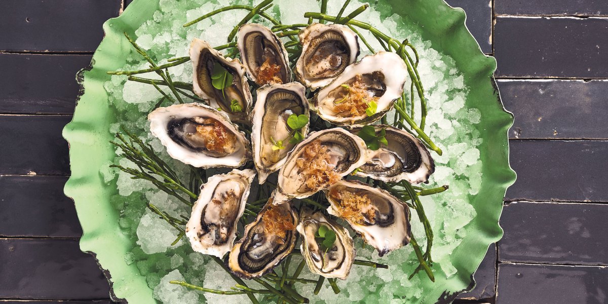 Turtle Island West-Coast Oysters