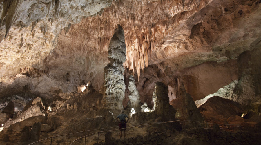 Going Batty at Carlsbad Caverns National Park, NM