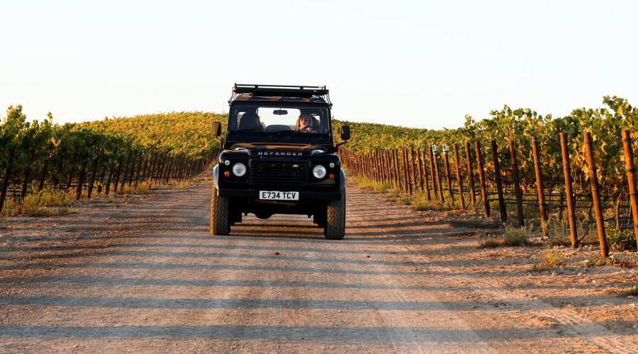 sonoma-luxe-meets-rugged-chauffeured-vineyard-tour