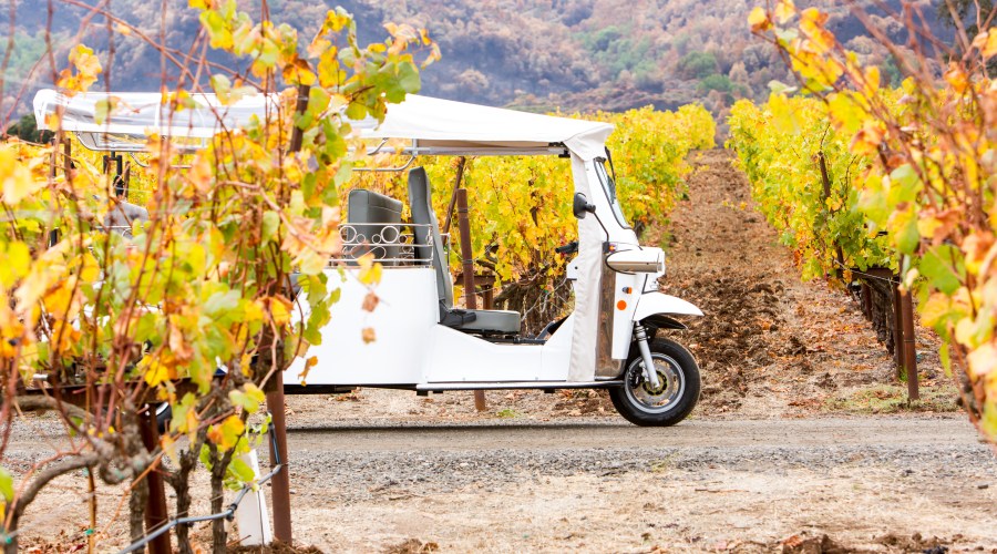 napa-vineyards-tuk-tuk-ride