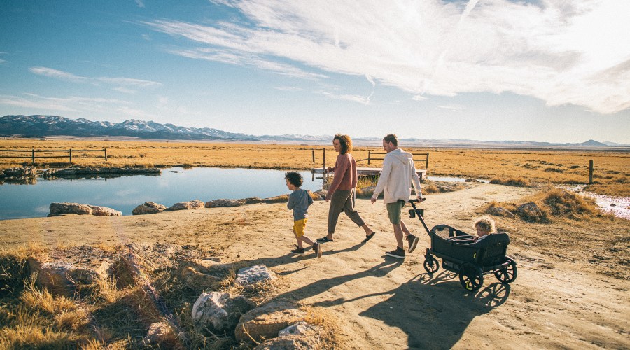 These Are the Best Carts and Totes to Bring to the Farmers Market, According to Sunset Editors