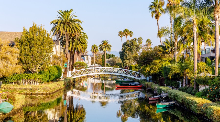 Where to Get Your Wellness on in Venice, California