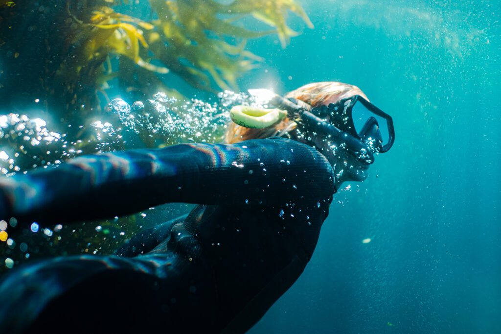 Ventura County Channel Islands Snorkeling