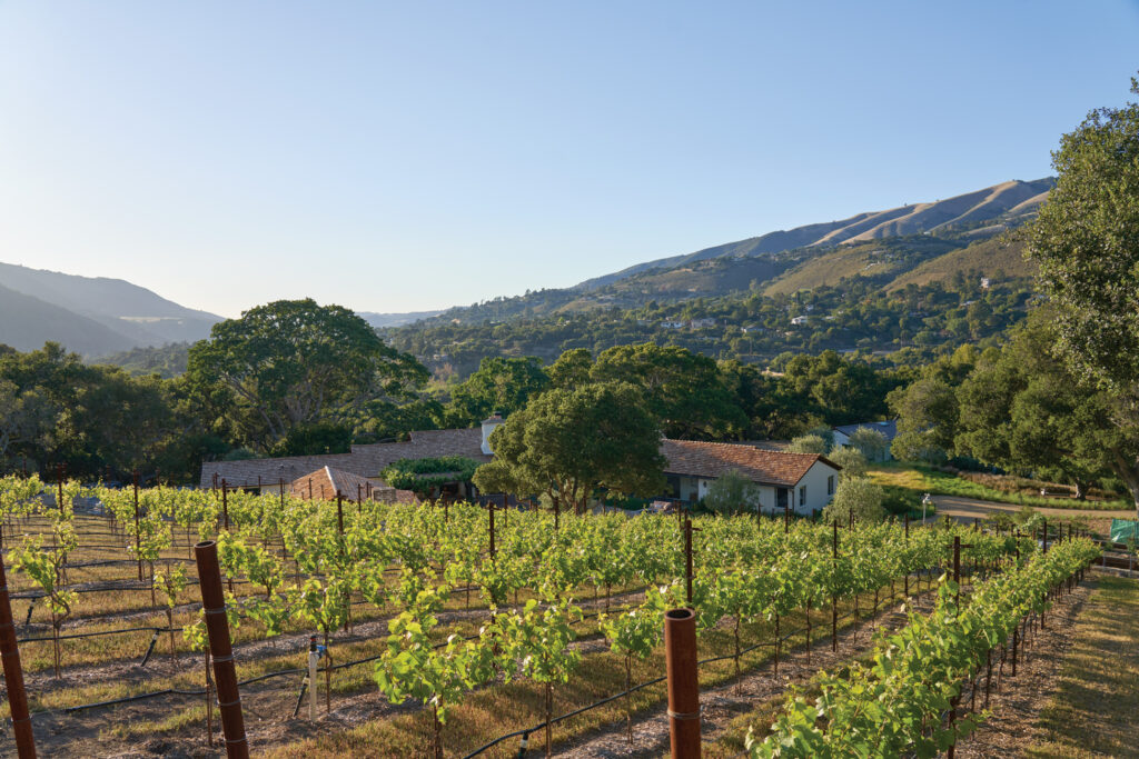 Vineyard Carmel California Ranch