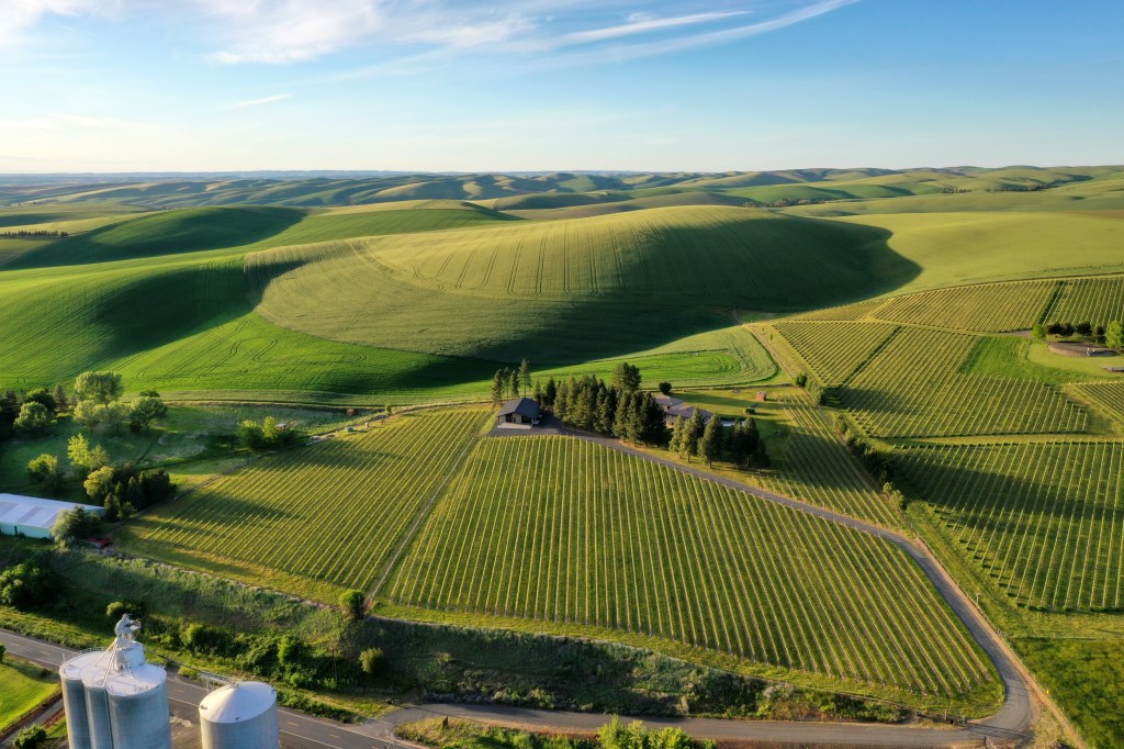 In Washington's Walla Walla Valley, Pair Wine Tasting with Food Trucks