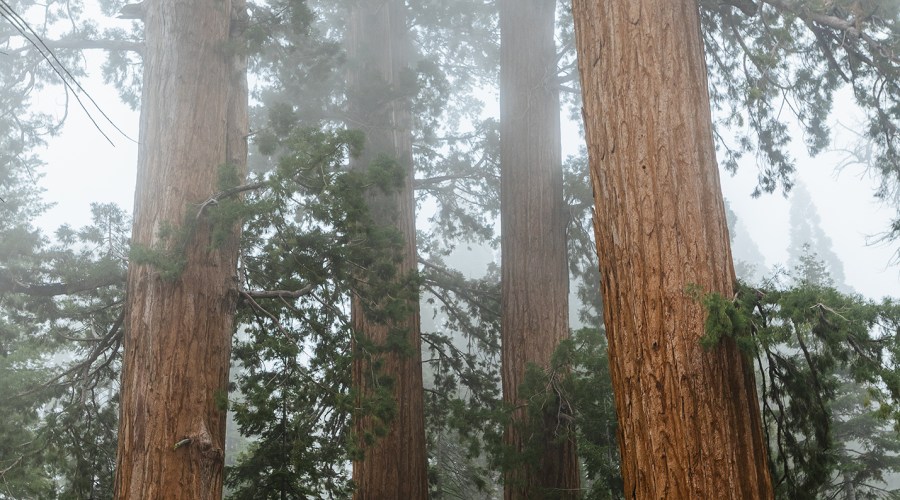 This True-Crime-Meets-National-Parks Podcast Is a Must-Listen