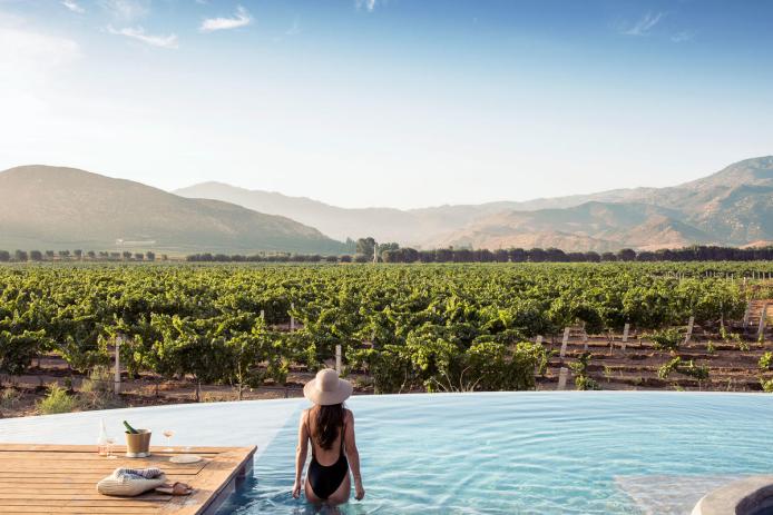 Woman in a pool overlooking the vineyards and hills in Baja, Mexico