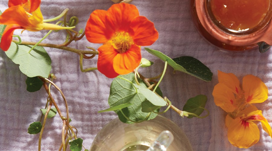 Apricot Chamomile Jam recipe with flowers from Floral Provisions cookbook