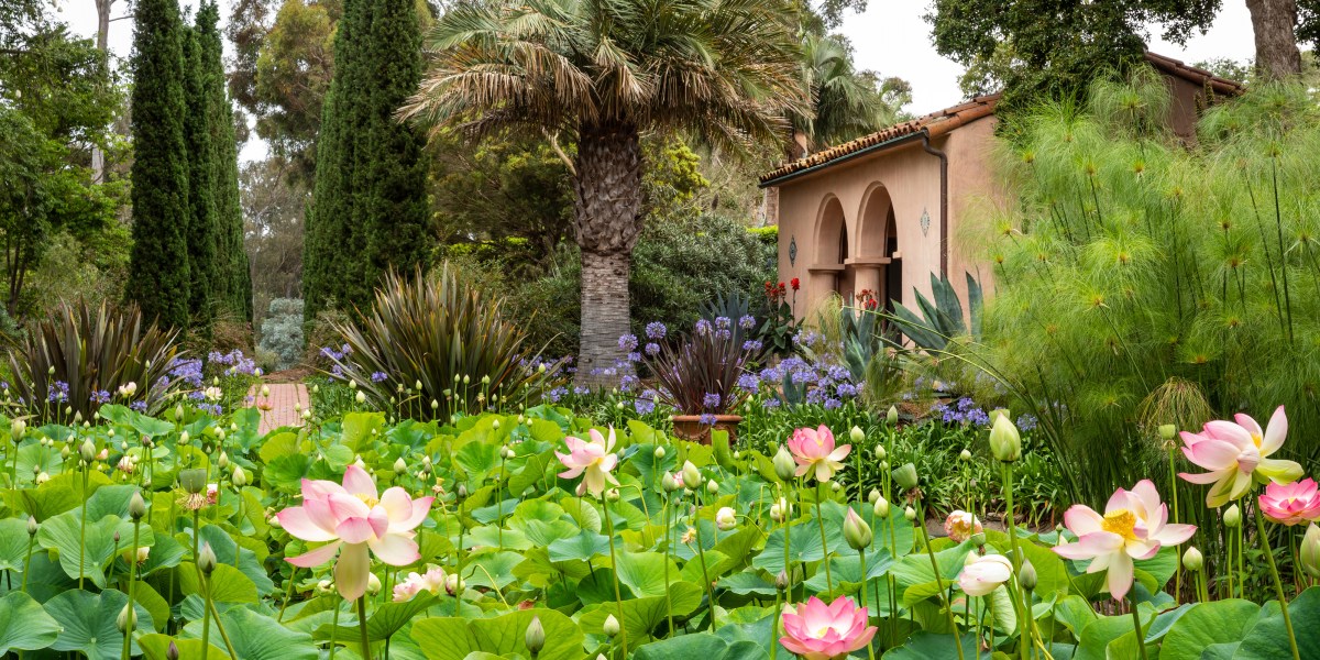 Lotusland botanic garden