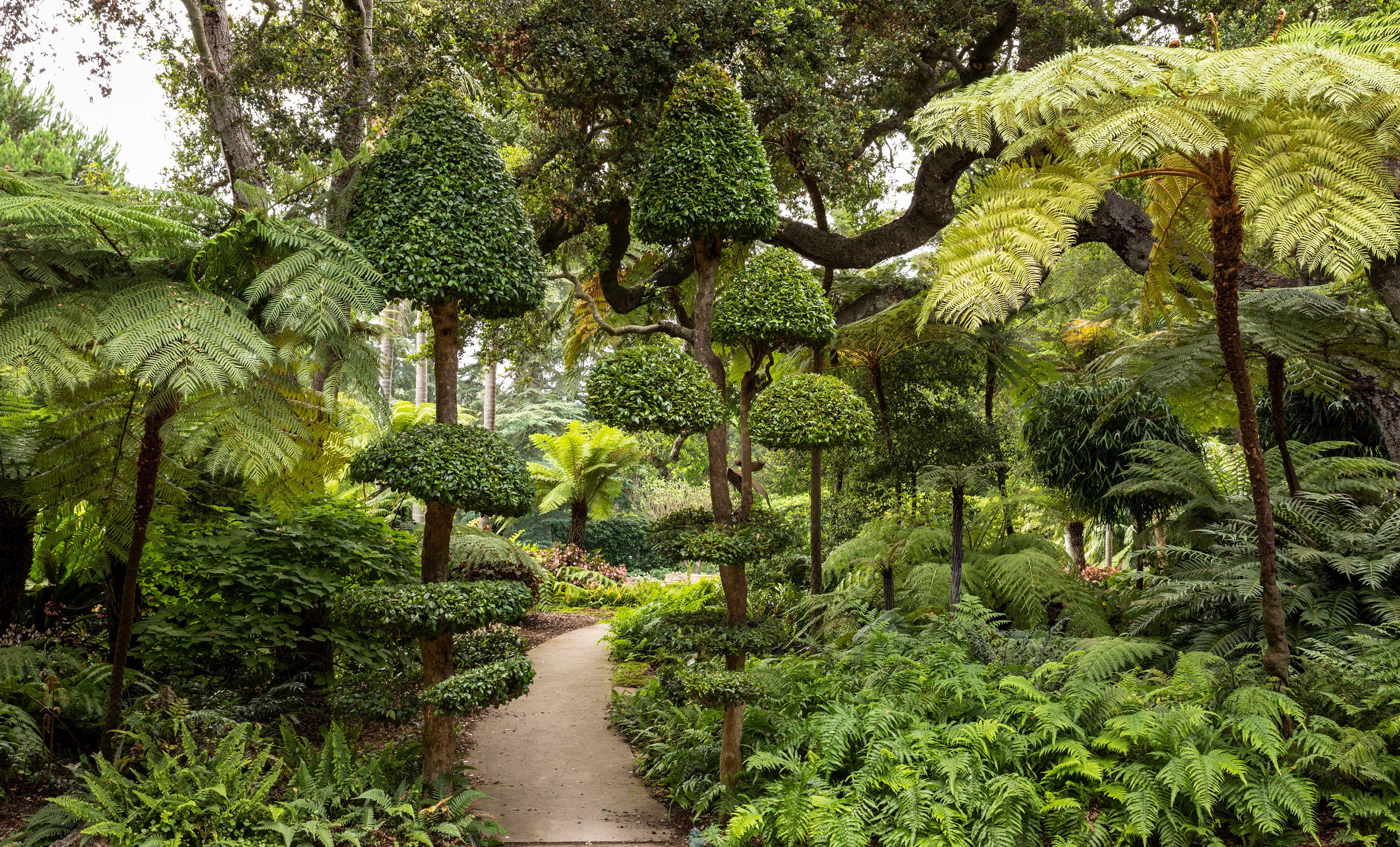 A Garden-Lover’s Road Trip Through Santa Barbara County