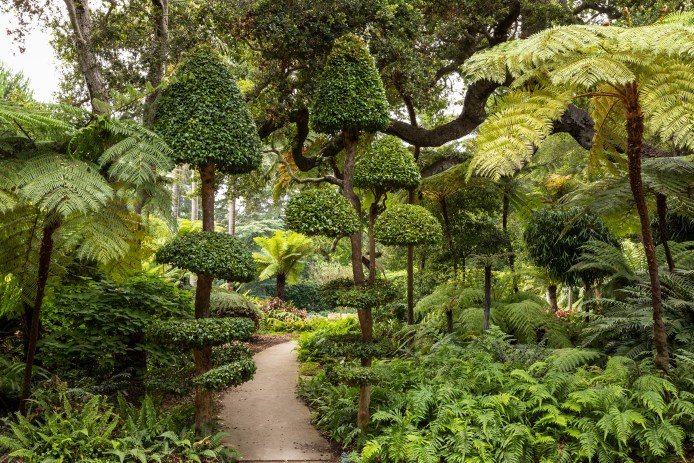 Lotusland botanic garden pathway