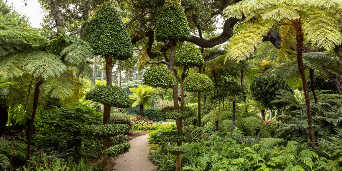 A Garden-Lover’s Road Trip Through Santa Barbara County