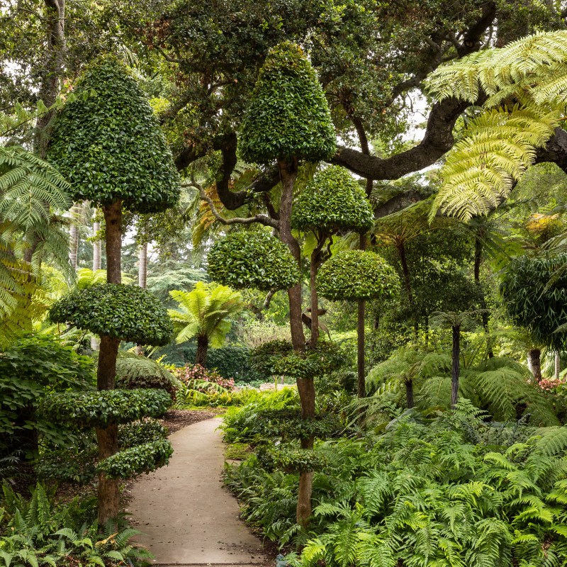 A Garden-Lover’s Road Trip Through Santa Barbara County
