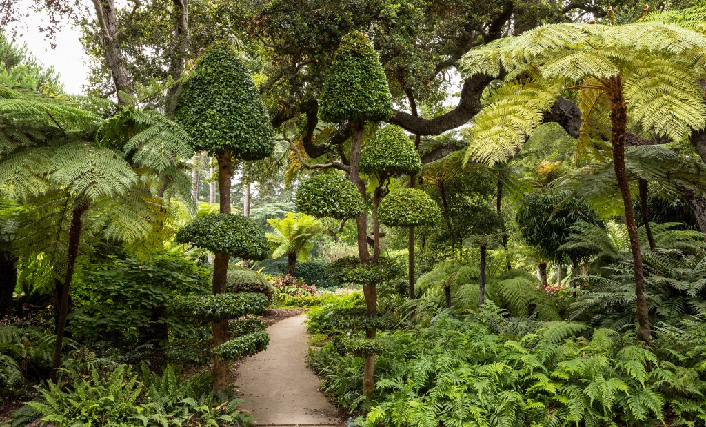 A Garden-Lover’s Road Trip Through Santa Barbara County