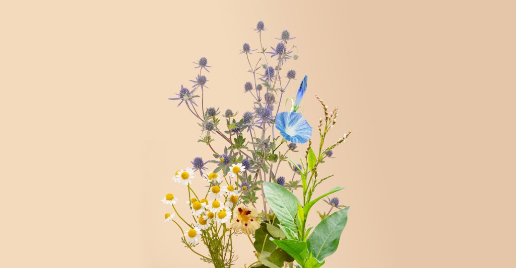 Whether You're Millennial or Gen Z, We Found a Gardening Kit for You