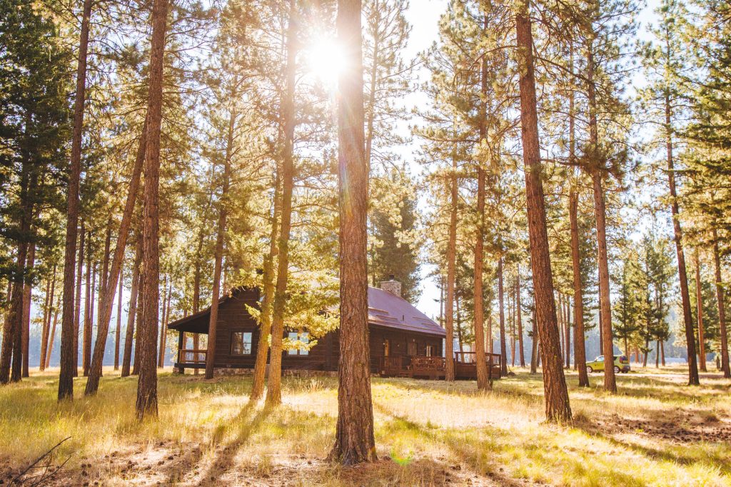 Family Reunion Trips to Book Now, from Utah Camping to Montana Resorts