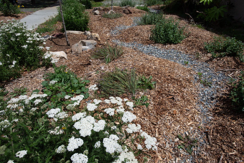 West Basin Municipal Water District