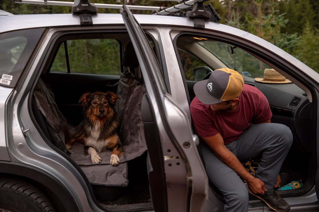 How to Road Trip with Your Pet: The Best Routes, Tricks, and Tools