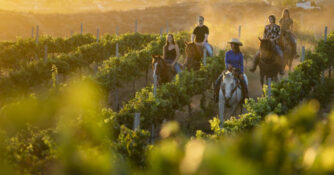 Temecula Horseback Riding