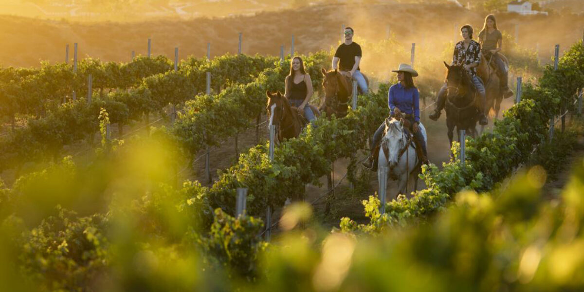 Temecula Horseback Riding