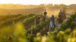 Temecula Horseback Riding