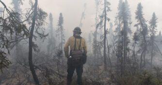 firefighter looks out at burned trees with thick smoke