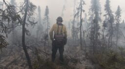 firefighter looks out at burned trees with thick smoke