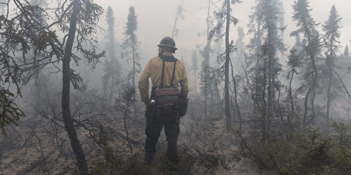 firefighter looks out at burned trees with thick smoke