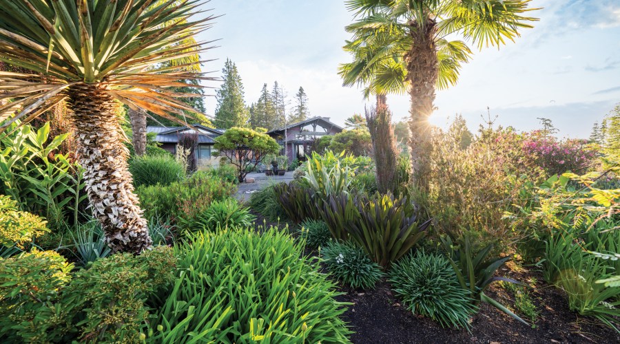 This Professional Plant Hunter's Garden Is as Amazing as You'd Expect