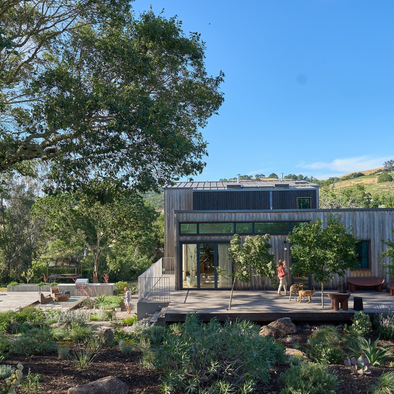 Step Inside the ‘Earthy Modern’ Home of Winery Owner and Interior Designer Jill Shadek