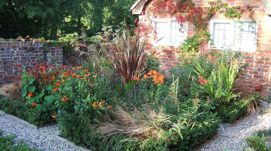 Planting Ideas: The Cure for the Winter Blues