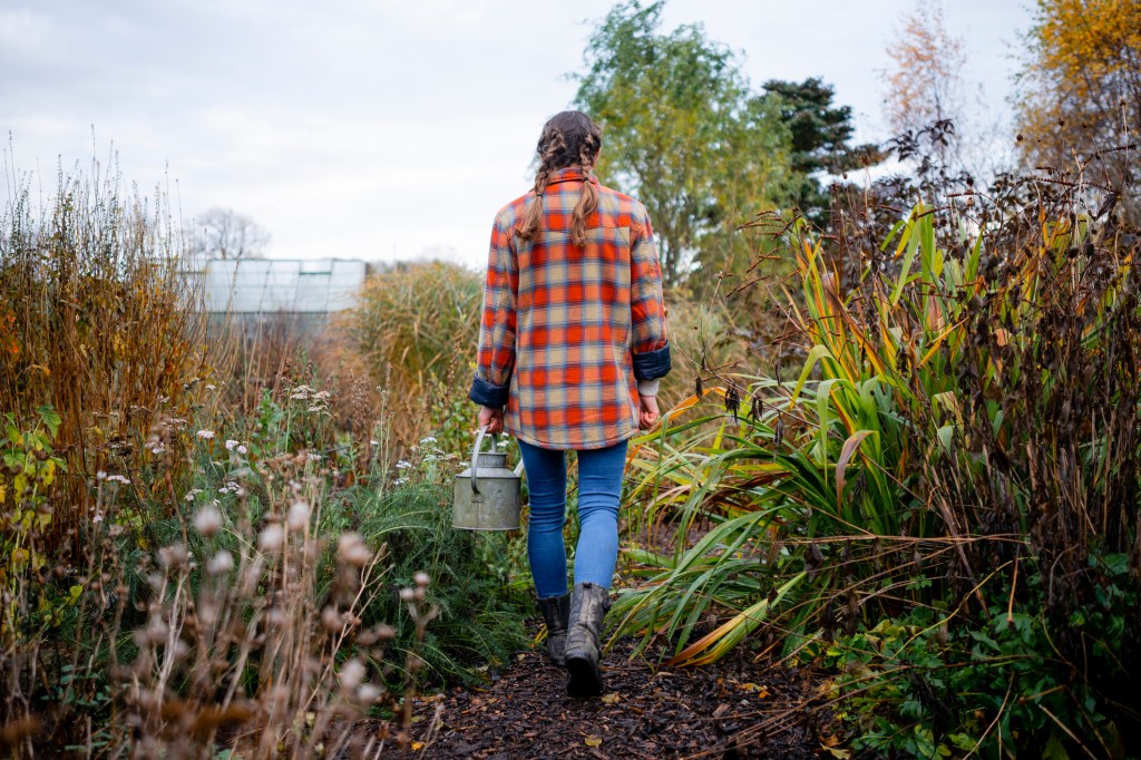 7 Things You Need to Do in Your Vegetable Garden This Winter Before It's Too Late