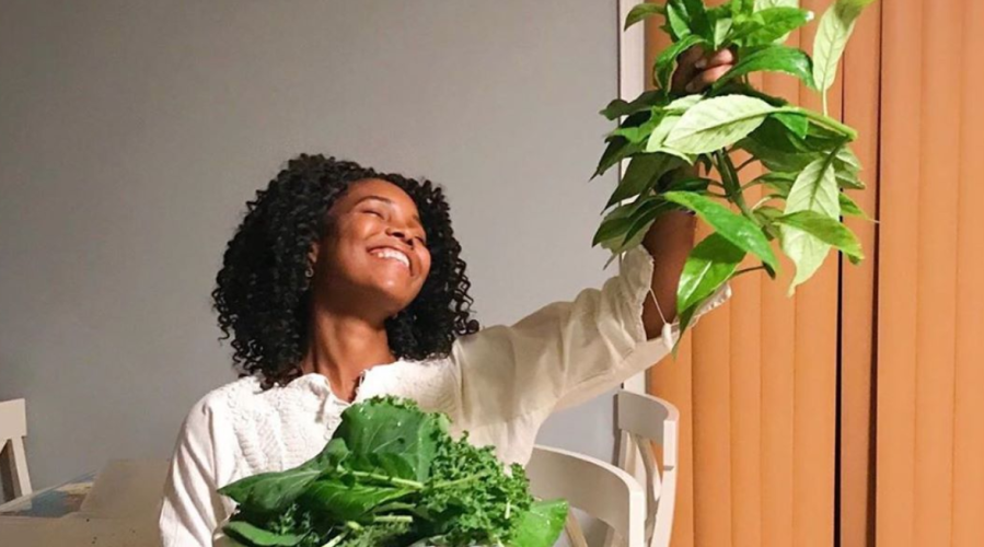 Starting a Garden? 10 Essentials (and Resources) to Keep Handy