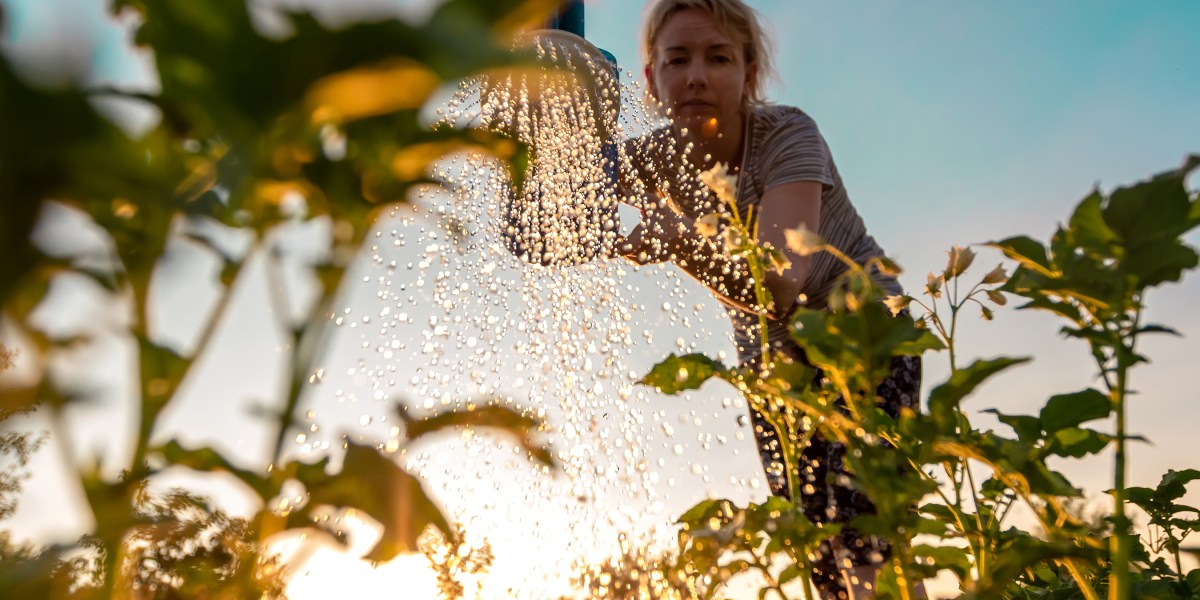 Woman Watering Plants