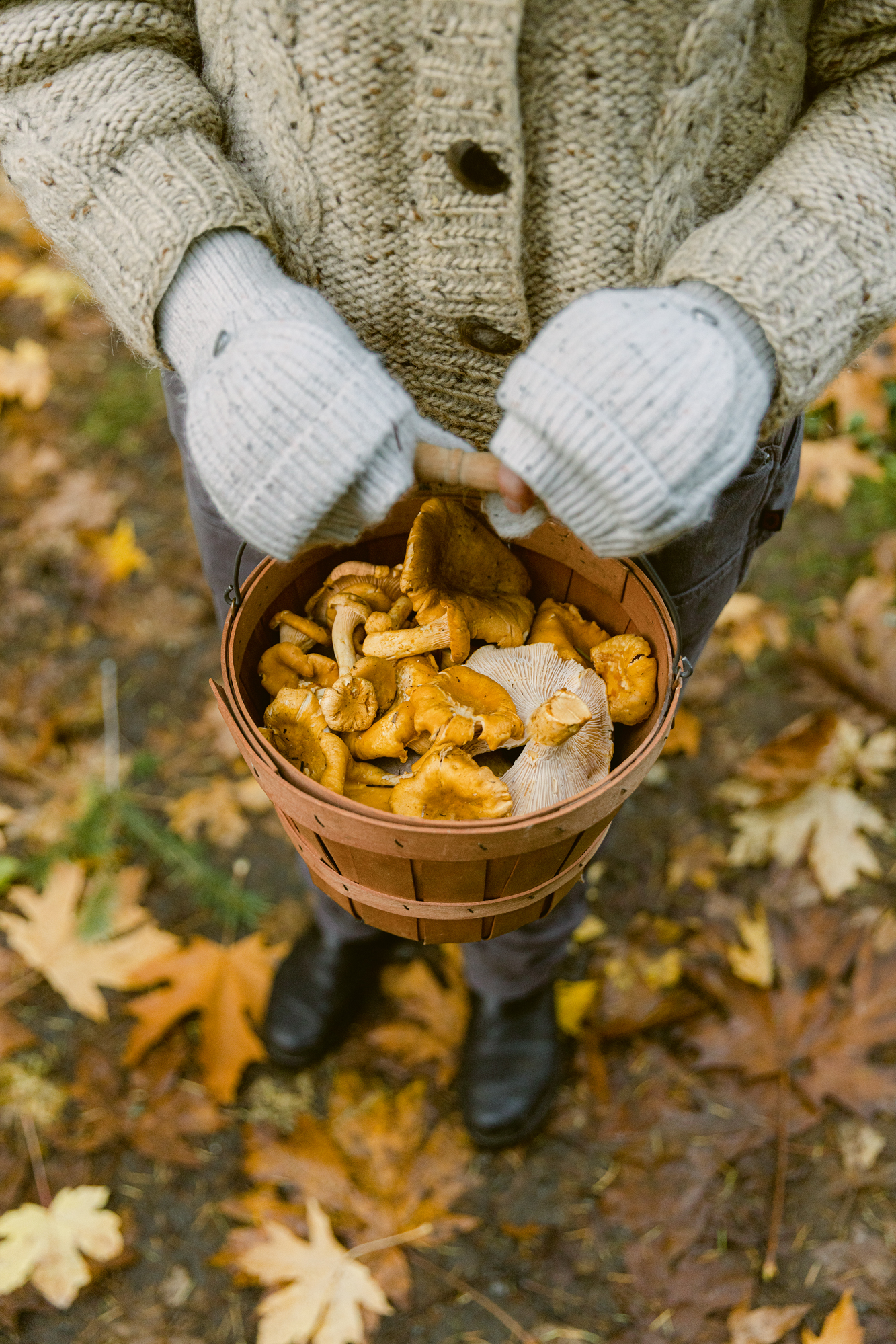 Wonder of the Woodlands Mushroom Foraging Detail