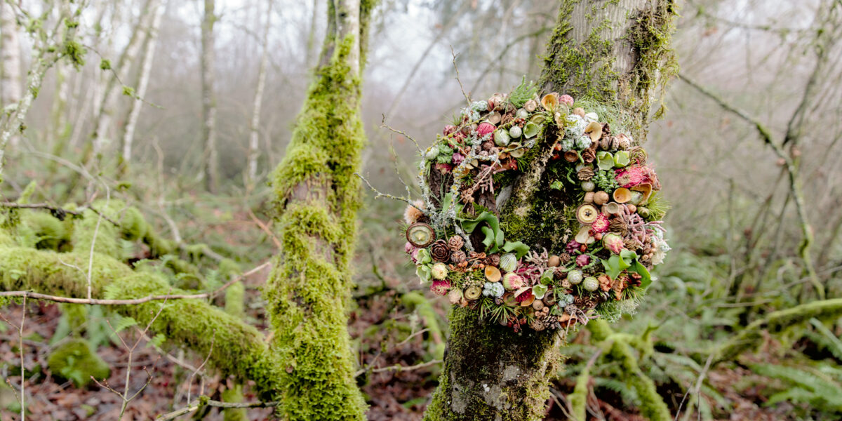 Wonder of the Woodlands Wreath in Woods