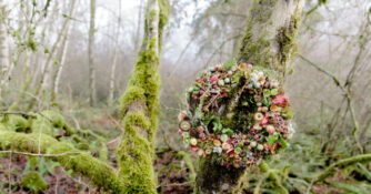 Wonder of the Woodlands Wreath in Woods