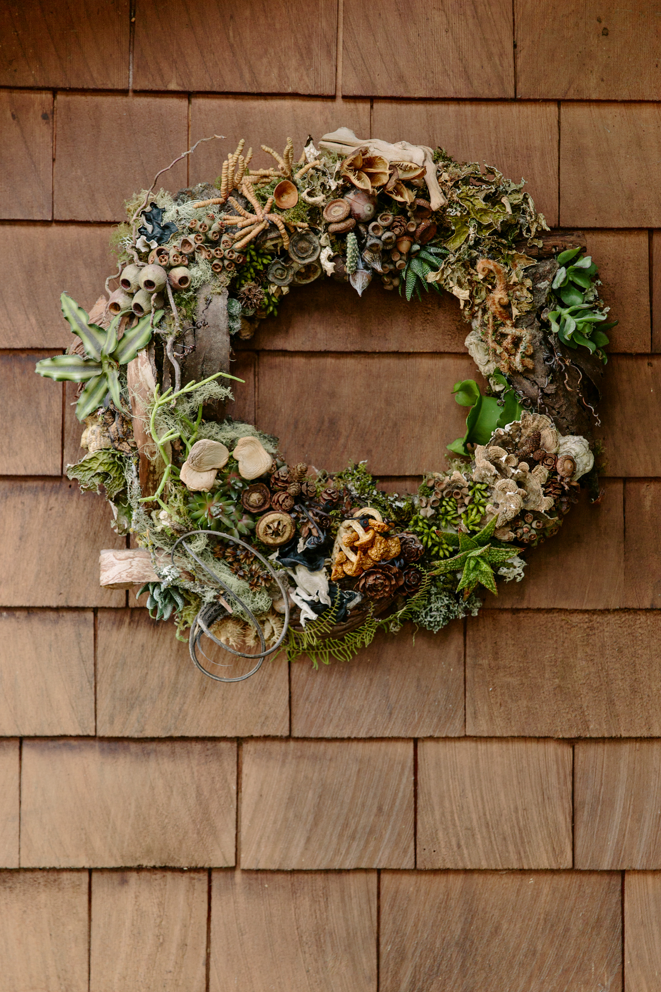 Wonder of the Woodlands Wreath