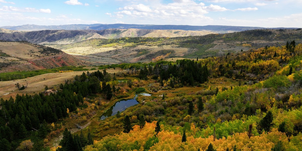 Wyoming Fall Color