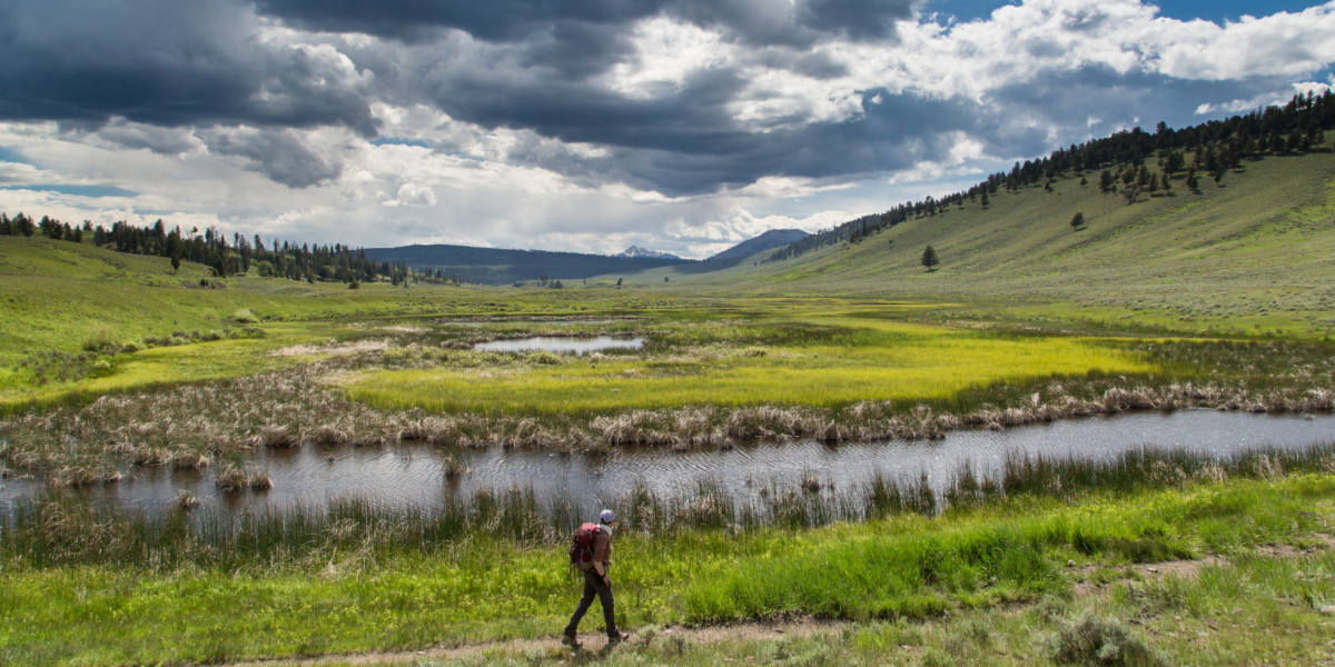 yellowstone hiker in meadow