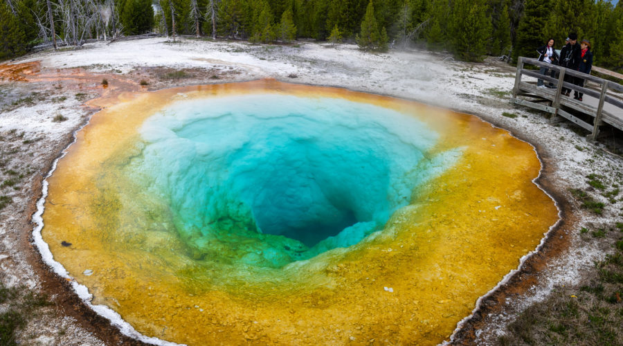 Must See in Yellowstone: 13 Incredible Sights in the National Park