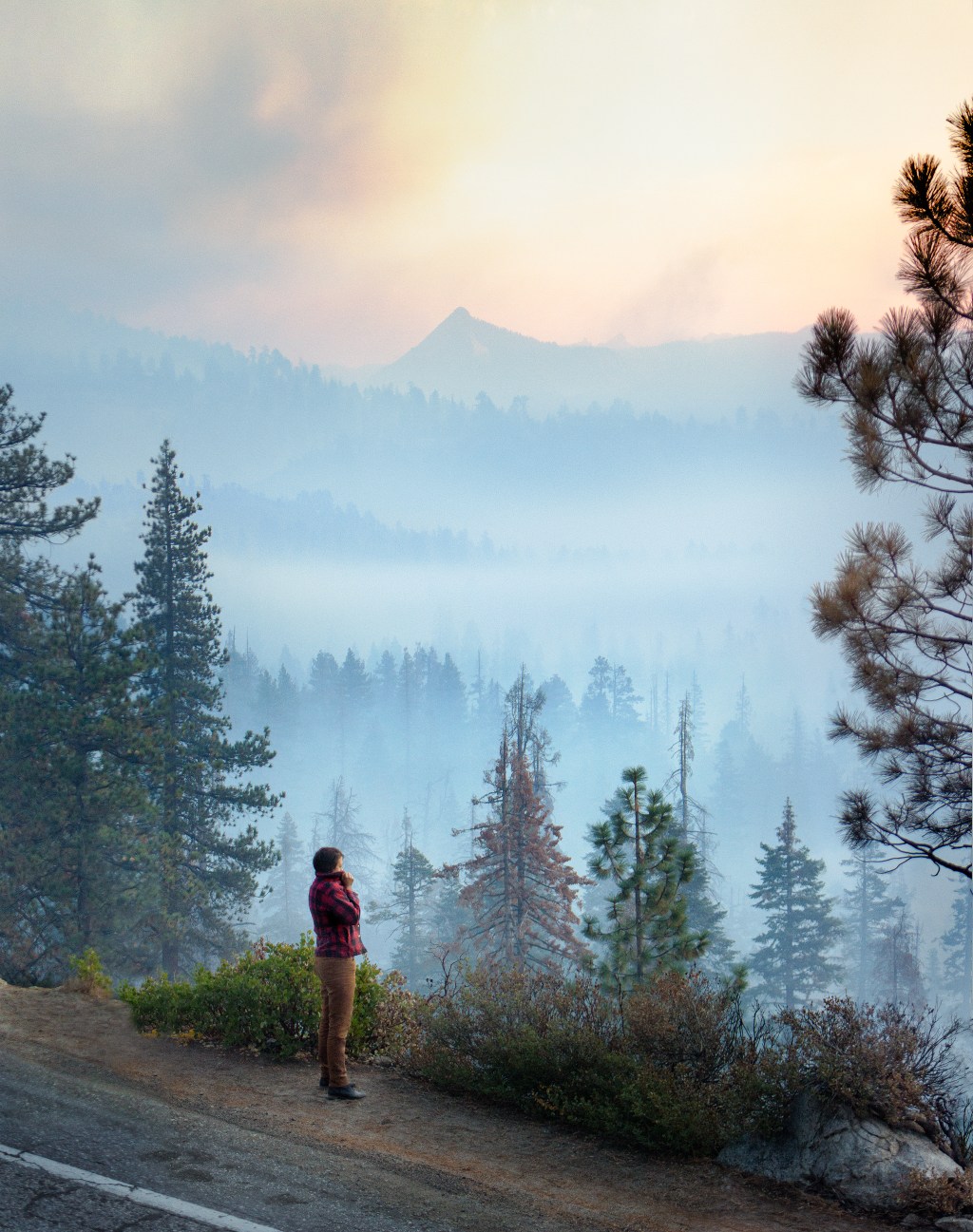 Report: Yosemite, Joshua Tree, All Other National Parks in Calif. Have 'Significant' Air Pollution
