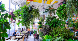 Yuko Kitchen Dtla Plants Interior