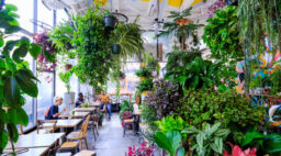 Yuko Kitchen Dtla Plants Interior