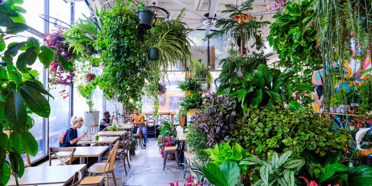 Yuko Kitchen Dtla Plants Interior